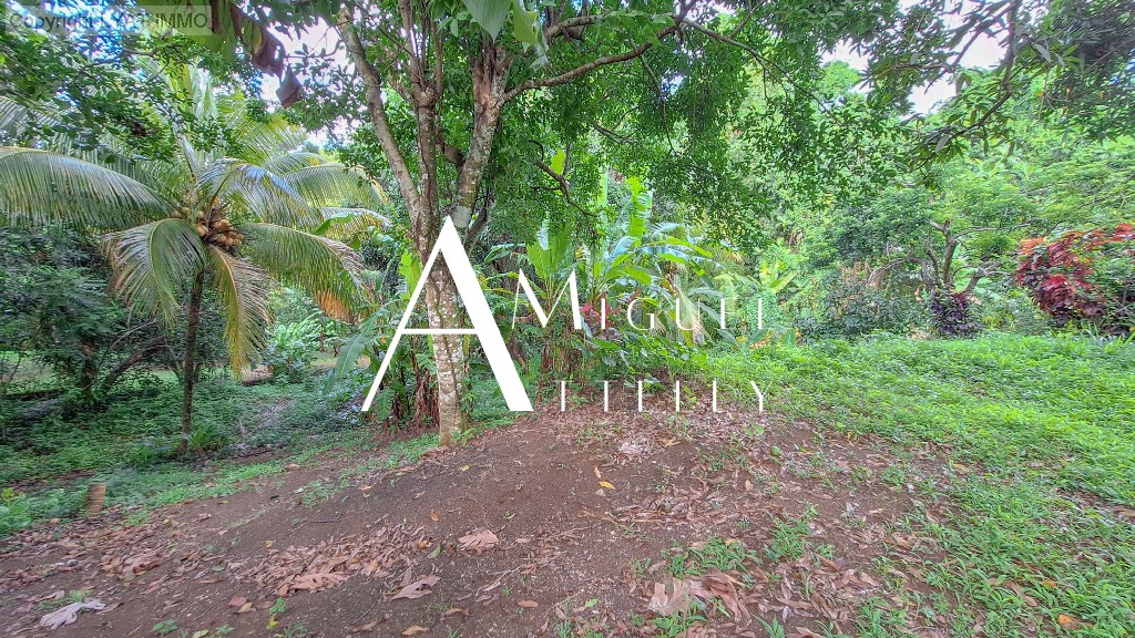 TRINITÉ - TERRAIN CONSTRUCTIBLE DE 495 M²